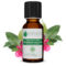 Huile Essentielle Gaulthérie Couchée 10 mL