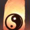 Lampe de Sel Himalaya brute Yin-Yang 1-2KG